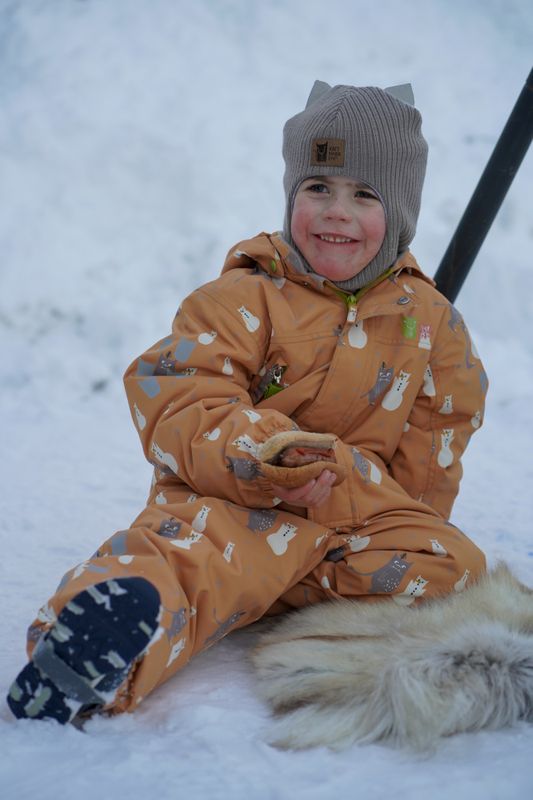 Kattnakken parkdress snø tolvmeterskogen honning